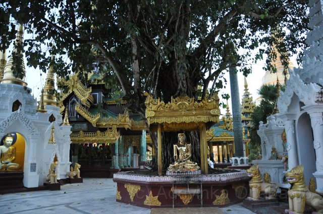 106 - Shwedagon Pagoda.jpg